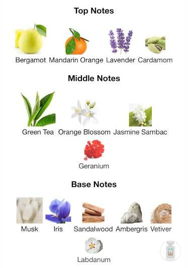 Argos Neptune’s Trident