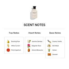 MICHAEL MALUL Vanilla+Crème