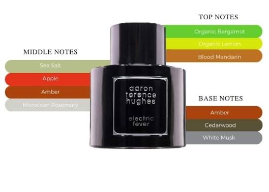 Aaron Terence Hughes Electric Fever